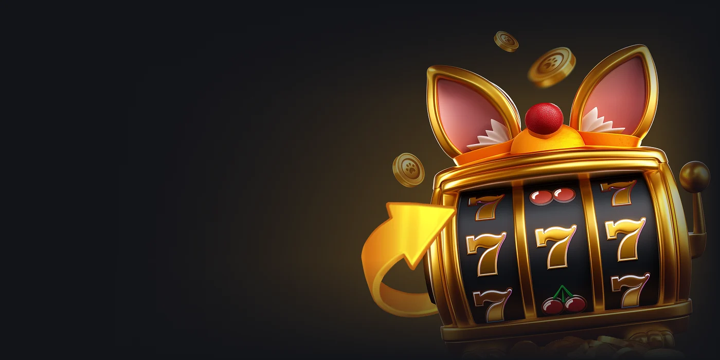 Cashback at Corgibet casino
